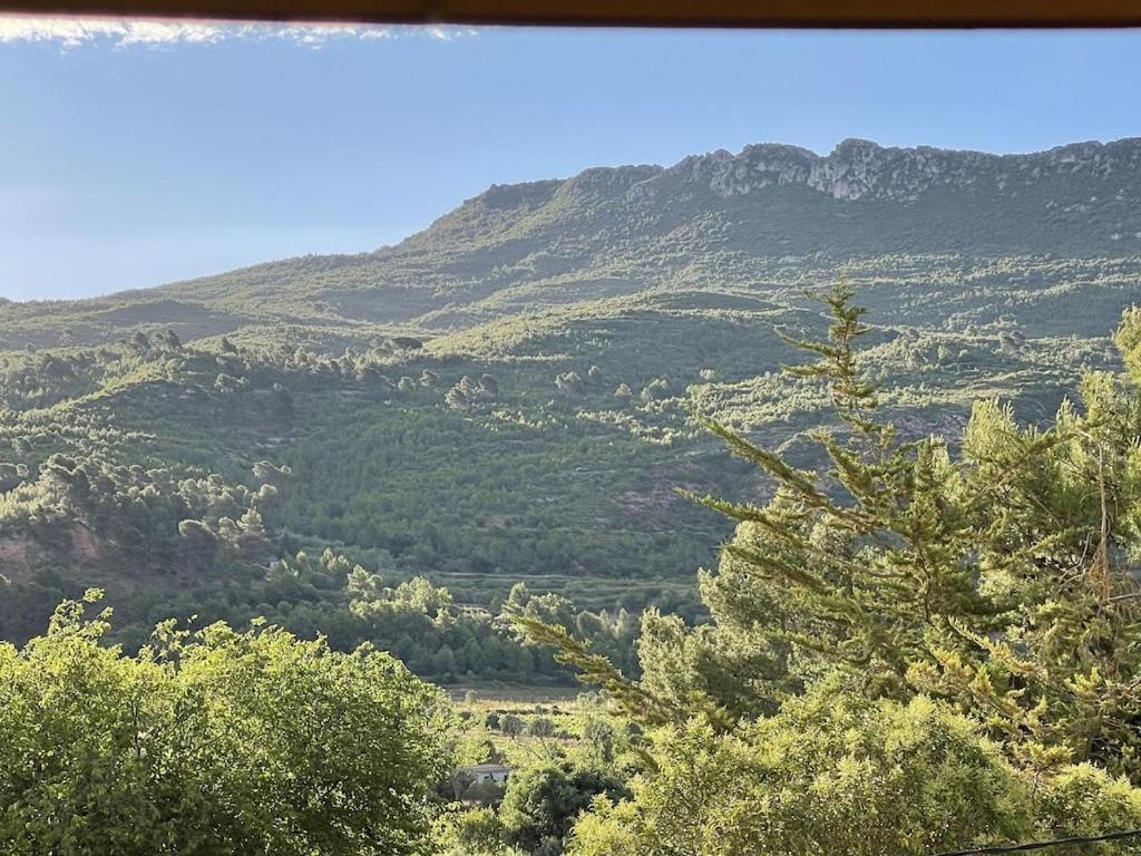 El Secret De La Llegenda El Cavaller Vilaverd Exteriör bild